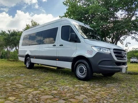 Sprinter